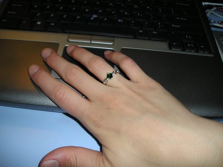 Resize%20of%20P1010653.JPG
