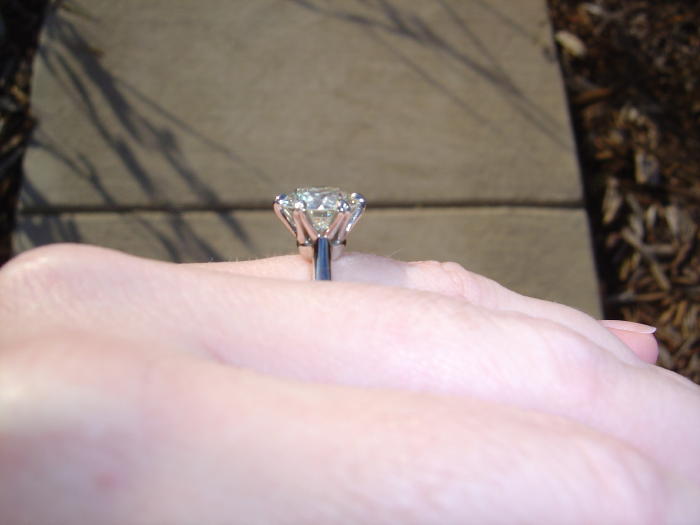 aca262ringpic16.jpg