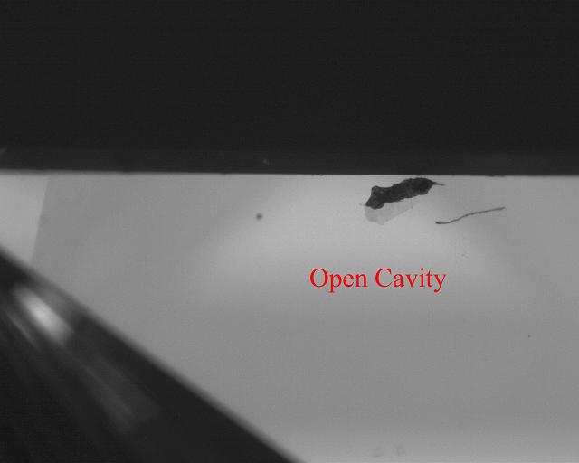 cavity-jrmints.JPG