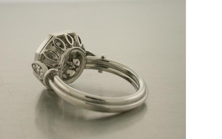 e-ring%20Image%202.JPG