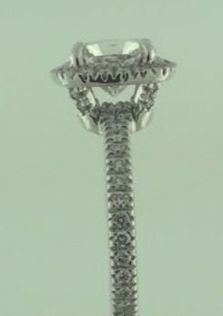 halo8204.jpg