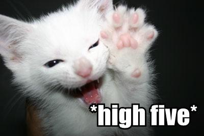 highfive.jpg