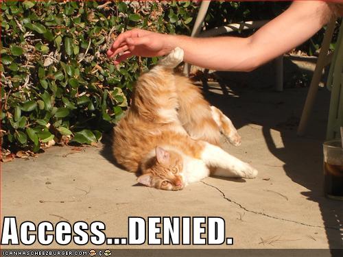 lolcatsaccessdenied.jpg