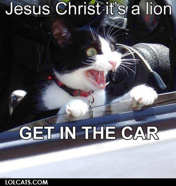 lolcatsdotcomp6qhtstf8ewm1rs7.jpg