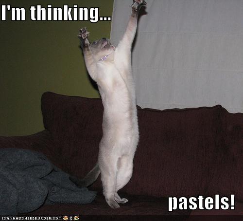 lolcatsimthinkingpastels.jpg