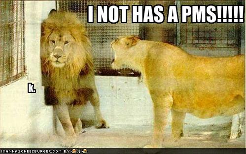 lolcatsinothasapms.jpg