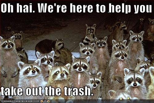 lolraccoonsohhaiwereheretohelpyoutakeoutthetrash.jpg