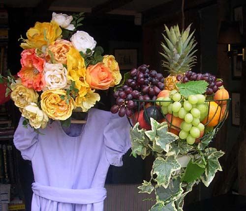 panfruitcp2.jpg