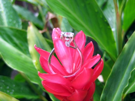 redgingerring.jpg