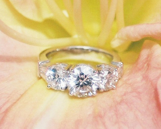 ringlilycloseup.jpg