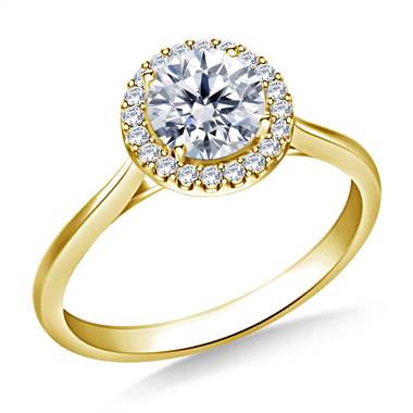 5/8 ct. tw. Round Brilliant Diamond Halo Cathedral Engagement Ring  in 14K Yellow Gold