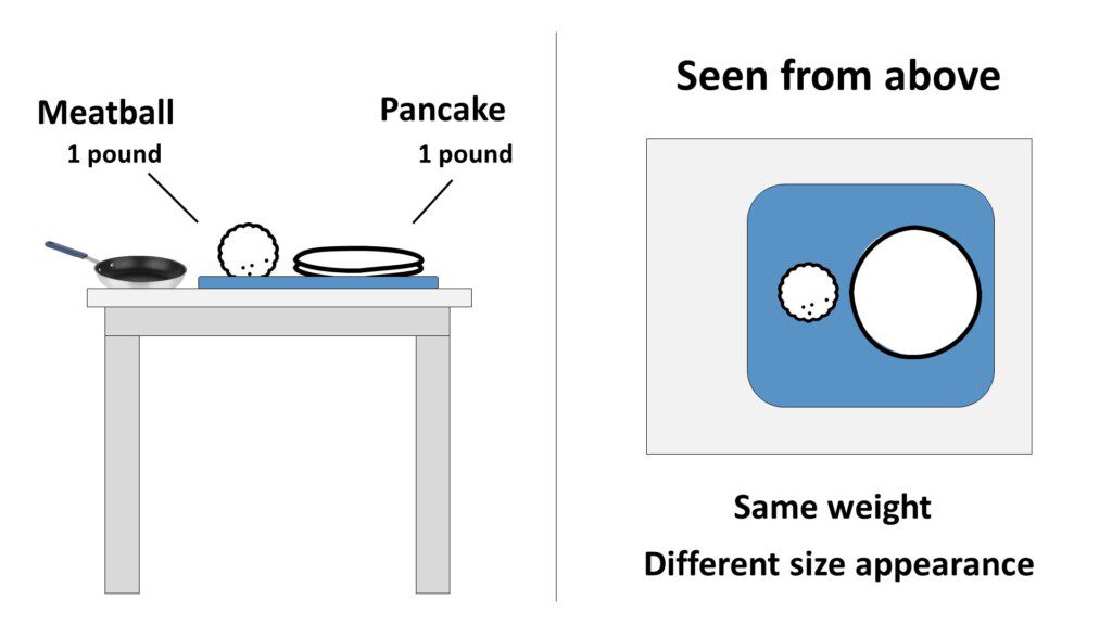 Meatball and Pancake Seen in Profile and From Above