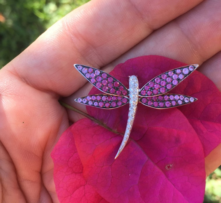 Dazzling Dragonfly