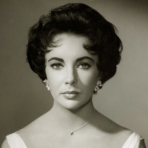 Elizabeth Taylor diamond necklace to auction for $15,000?