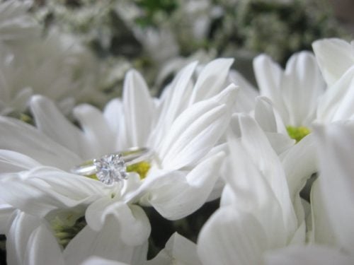 Blue Nile Solitaire Engagement Ring on bright white daisies