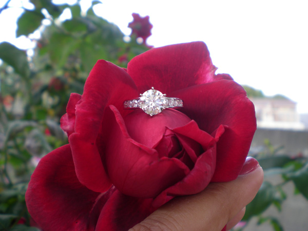 Diamond Engagement Ring in a red rose