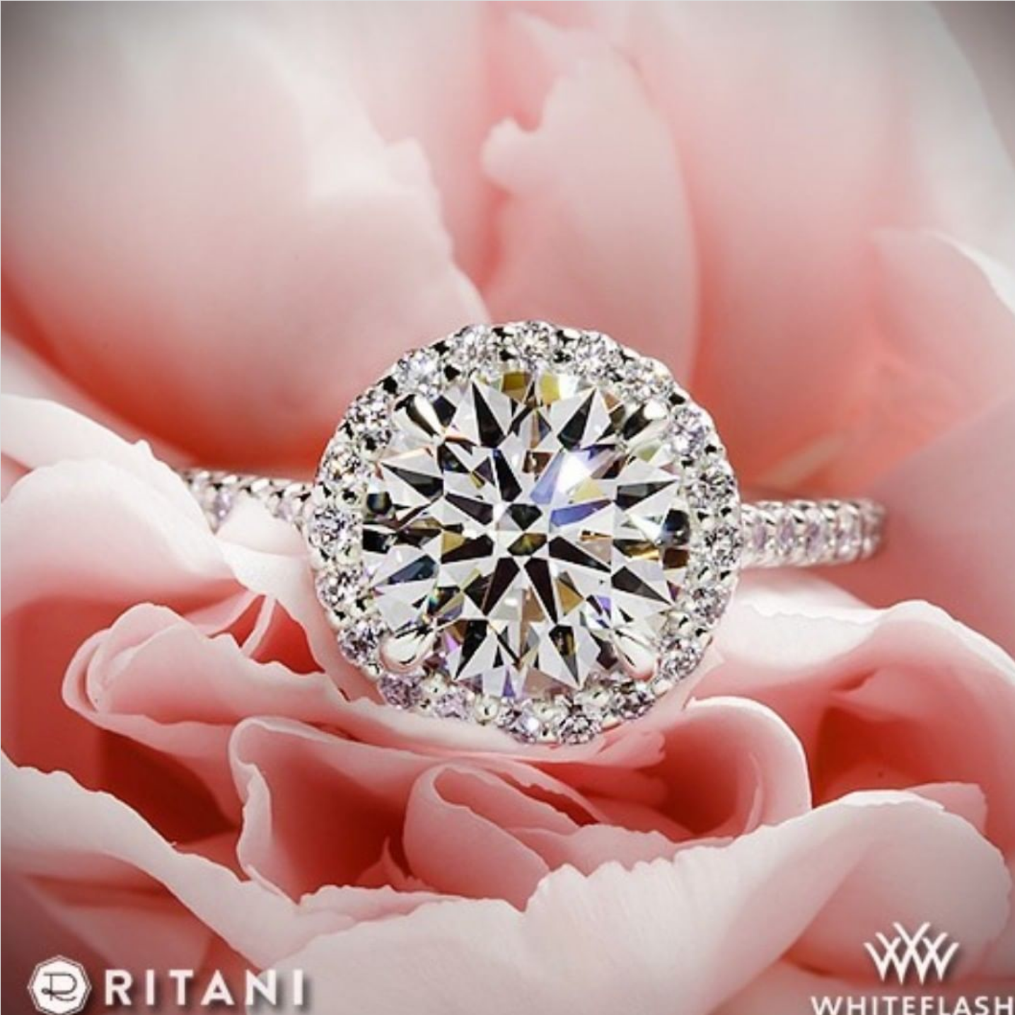 Screenshot 2021-06-17 at 17-11-41 Whiteflash on Instagram “This ritani French-Set Cushion Halo Diamond Band Engagement Ring[...]