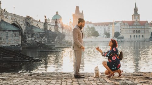 on a brick path alongside of water with a beautiful city behind the, a woman in a floral dress and heels kneels in front of a man with ring box extended. Tall man in taupe suit with man bun and beard looking down at her. Small dog between them.