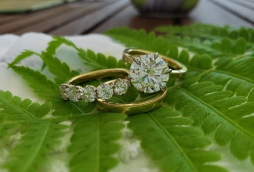 Diamond solitaire, 5-stone ring, gold band on a green leaf.