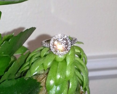 Round diamond ring in halo sitting on green leaves. 