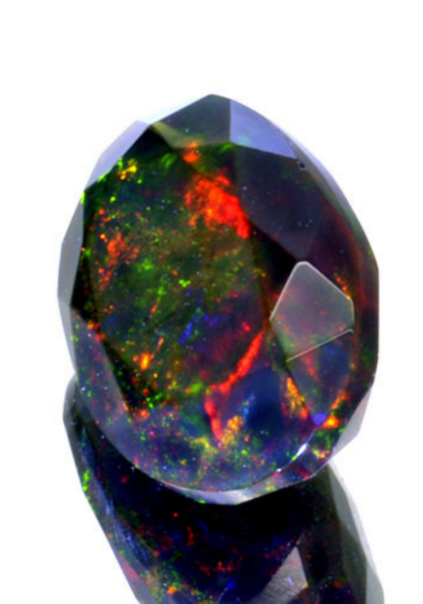 Black Opal.