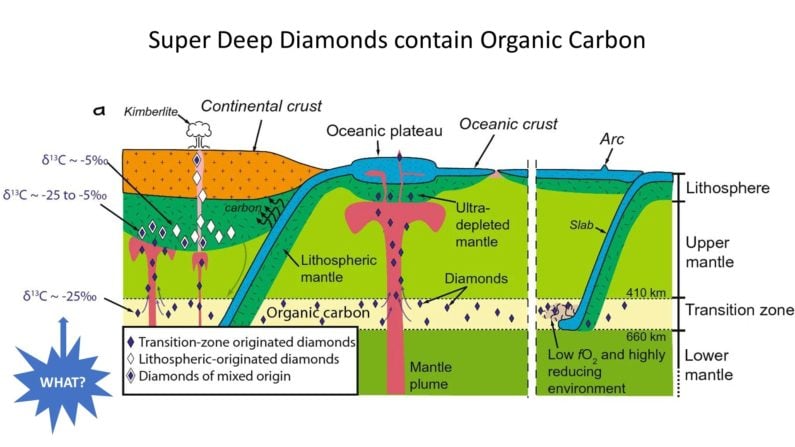 Diamond categories and organic carbon content