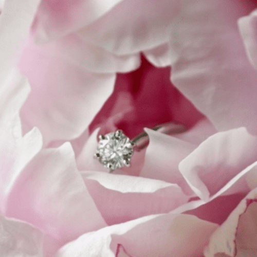 A pink peony with a diamond ring sitting within the petals.