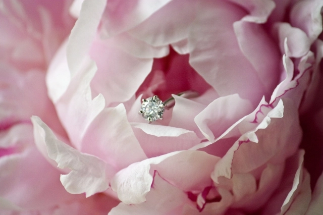 A pink peony with a diamond ring sitting within the petals.