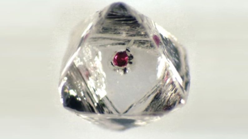 Garnet Inclusion