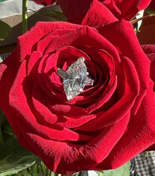A bright, large marquise diamond inside a red rose blossom. 
