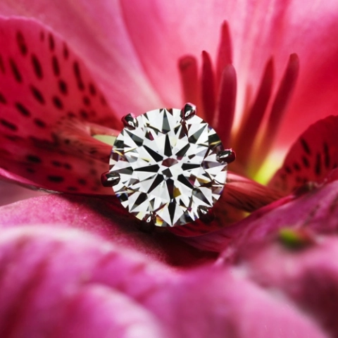 Bright pink blossom with a detailed round diamond sitting within it.