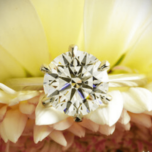 Diamond ring on a yellow flower.