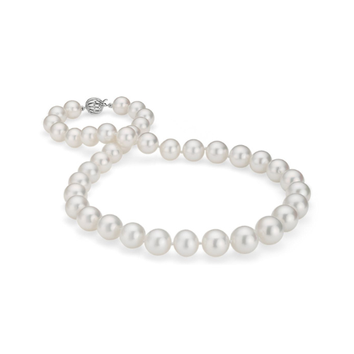 South Sea Cultured Pearl Strand Necklacein 18k White Gold