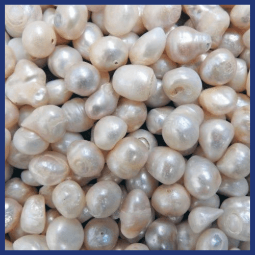 Freshwater Pearls.