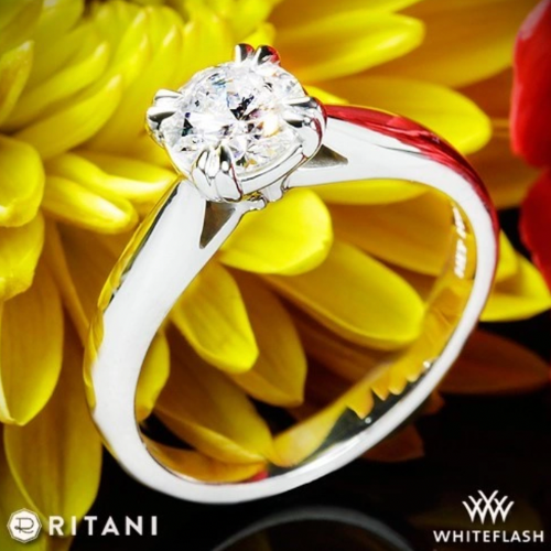 14k White Gold Ritani Tulip Cathedral Solitaire Engagement Ring at Whiteflash