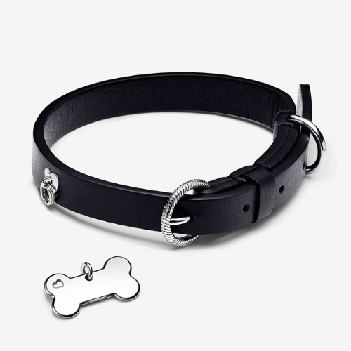 Black Pet Collar with Engravable Bone Tag