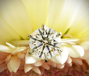 Diamond ring on a yellow flower