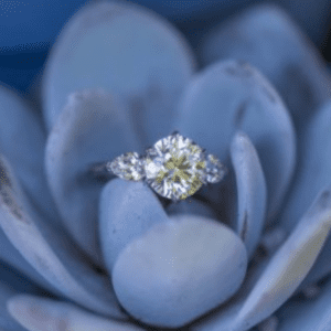 Diamond ring in a periwinkle succulant