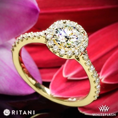 18k Yellow Gold Ritani French-Set Halo Diamond Engagement Ring at Whiteflash