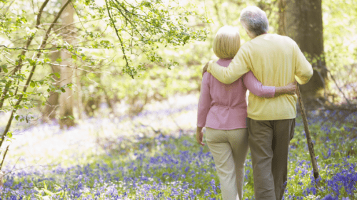 Elderly couple in the garden