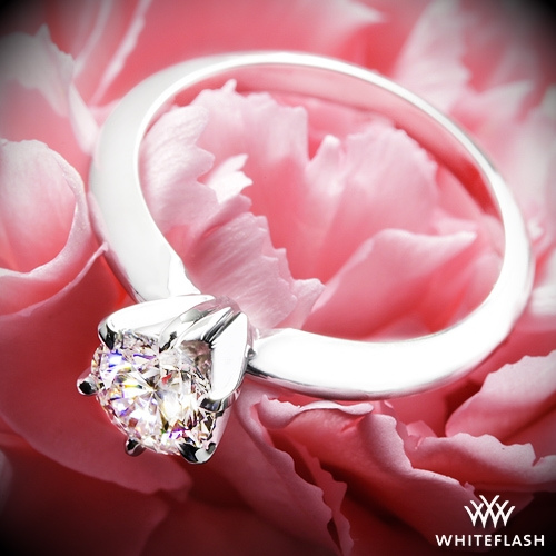 14k White Gold Classic 6 Prong Solitaire Engagement Ring at Whiteflash