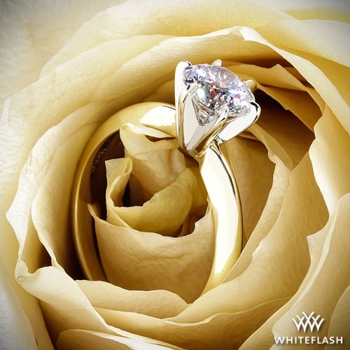 14k Yellow Gold Classic 6 Prong Solitaire Engagement Ring with White Gold Head at Whiteflash