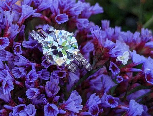 Diamond ring on a bed of flowers shared by PriceScope member, Kim N.