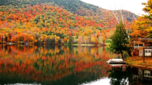 Colors of Fall