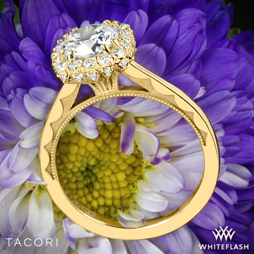 18k Yellow Gold Tacori Full Bloom Cushion Halo Solitaire Engagement Ring at Whiteflash