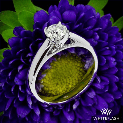 Platinum Cathedral Solitaire Engagement Ring at Whiteflash