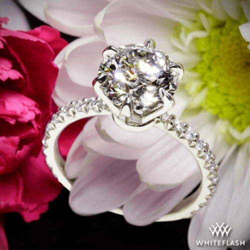 Platinum Cadence Diamond Engagement Ring at Whiteflash